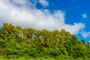 Beautiful green hills landscape on blue sky background. decoration image contain certain grain noise and soft focus.