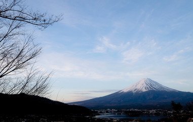 Mountain fuji clear top view in early morning against to blue clouds sky background , mt.fuji clear viewing with branches trees in front, Mountain Fuji in the Autumn, in Japan