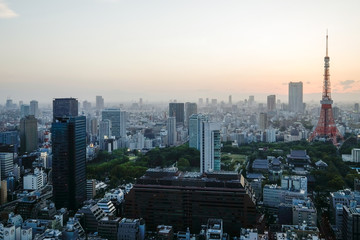 Obraz premium Cityscape view in sunset time, dusk and peaceful feeling in evening time.A lot of building in Minato, Tokyo, Japan. 