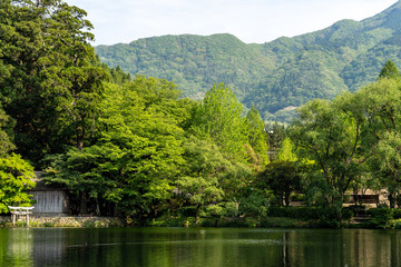 Fototapeta na wymiar Kirinko green lake on Mount Yufu background in sunny day,famous park in Yufuin Cho Kawakami, Yufu, Oita Prefecture,Japan