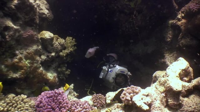 Cameraman shoots video young woman underwater model mermaid. Creativity and art of creating images on background of seabed.