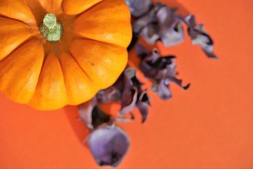 top view on orange pumpkin on blurred background