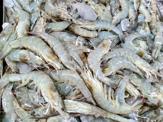 Fototapeta premium Food 