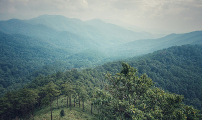 Fototapeta na wymiar Natural green mountains bright sky. At Doi Pha Khao, Chiangmai in Thailand