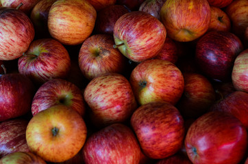 group of red apple backrounds