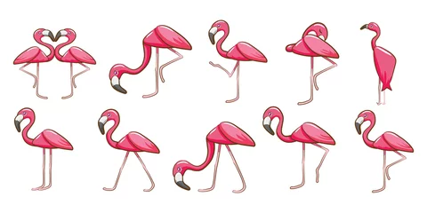 Lichtdoorlatende gordijnen Flamingo flamingo vector set clipart ontwerp