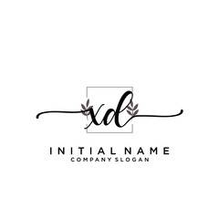 XD Beauty vector initial logo, handwriting logo.