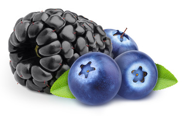 Colourful composition with forest berries - blueberry and blackberry isolated on a white background with clipping path.