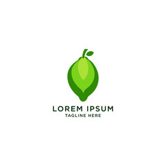 Lime Logo Icon Design Template Vector Illustration