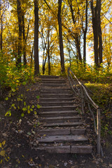 Obraz premium Autumn landscape. Old staircase in the park