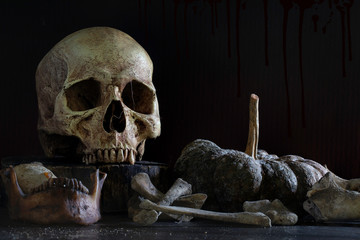 Old skull with pile of bone and rotten pumpkin on dark background and dark wall which has blood...