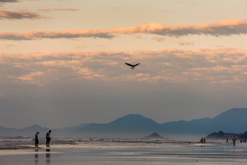 nascer do sol na praia