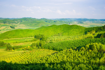 Naklejka premium Rural countryside view of agricultural land, Dali, Yunnan, China