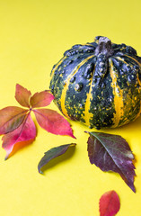 Creative flat lay autumn composition with small decorative pumpkins and autumn leaves. Yellow paper background. Copy space.