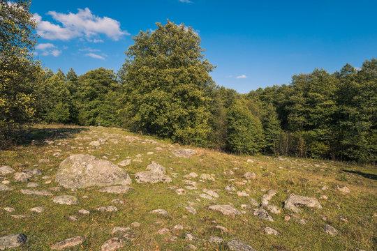 Glazowisko Bachanowo - meadow covered with boulders in Suwalski landscape park, Podlaskie, Poland