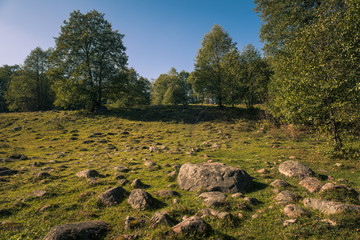 Glazowisko Bachanowo - meadow covered with boulders in Suwalski landscape park, Podlaskie, Poland