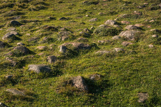 Glazowisko Bachanowo - meadow covered with boulders in Suwalski landscape park, Podlaskie, Poland