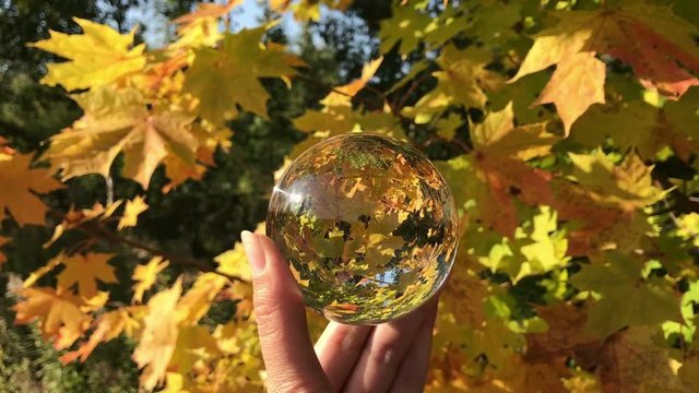 female hand holding magic crystall ball over beautiful nature landscape, autumn trees concept