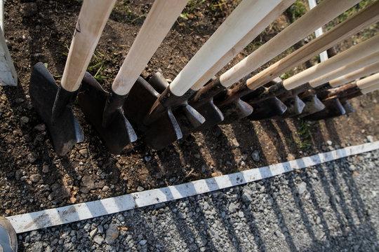 shovels stand in a row, tree planting