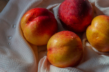 Nectarines with water droplets on a pink tea towel.  Sunlight casting shadows on the fruit