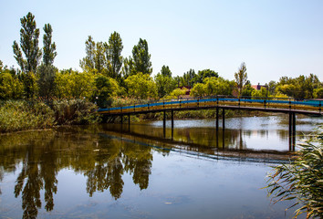 Fototapeta na wymiar Footbridge over the pond