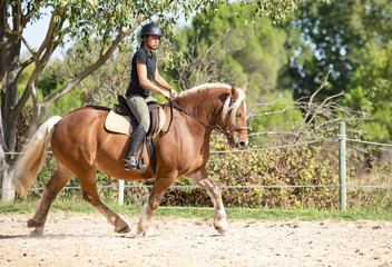 riding girl and comtois horse