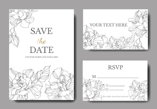 Vector Rose floral botanical flowers. Black and white engraved ink art. Wedding background card decorative border.