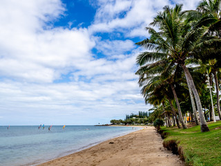 Row of palm trees along a white sandy beach with a blue sky