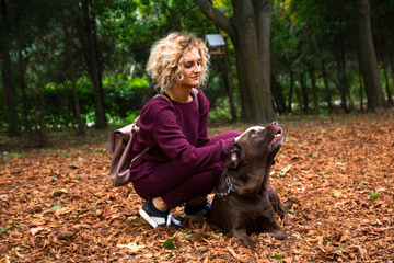 blonde curly girl is playing with chocolate labrador in the autumn park with orange leafs