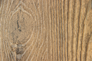Background texture tree bark brown