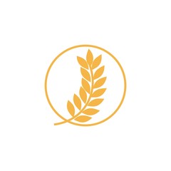 wheat vector icon illustration template, logo design