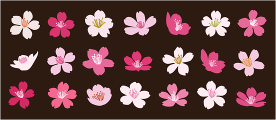 Set of 21 cherry blossom flowers vector illustration on brown background - Sakura　桜の花のベクター素材