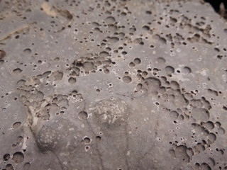 rain drops on concrete