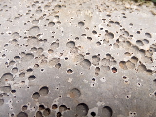 rain drops on concrete