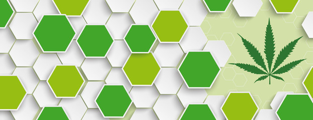 Hexagon Structure Hemp Leaf Header