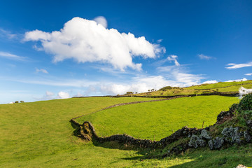 Green fields of Pico Island, Azores, Portugal