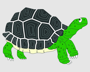 Vector illustration of a older cartoon turtle