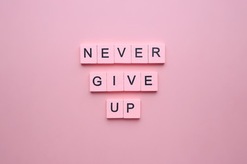 Never give up. Motivational poster