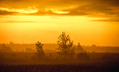 Fototapeta na wymiar Morning summer foggy dawn in the field. Summer landscape. The sun is waking up. The sky and the sun. Golden sky. The lights of a sun. Golden dawn.