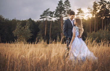 happy bride and groom are walking on the autumn meadow