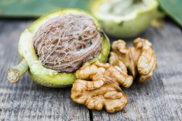 Fresh walnuts in a green shell near the walnut kernel on an old wooden table. Nuts in green shells.