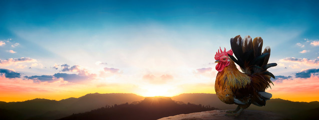 International Mountain Day concept: silhouette chicken on sunrise background 