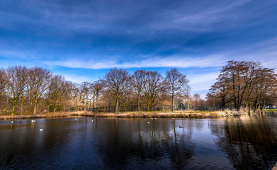 reflection of autumn trees in the lake