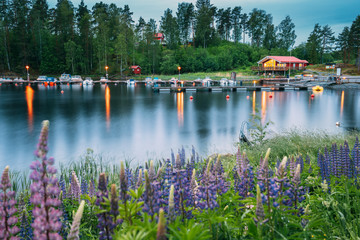 Sweden. Beautiful Red Swedish Wooden Log Cabin House And Pier Near Lake In Summer Evening Night....