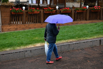 people with an umbrella walk in the rain