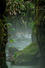 北海道樽前ガロー　緑の渓谷の景色