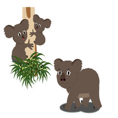 Grey Koala Bear with Two Baby Koala Bears - Cartoon Vector Image
