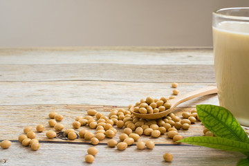 Soy milk and soy bean it on wood table background,healthy concept. Benefits of Soy.