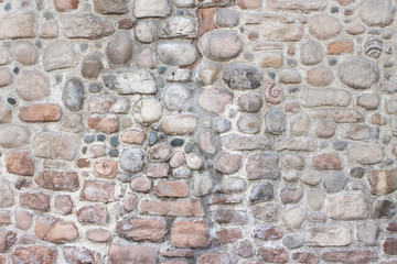 stone wall with pink shells fossils and grey background
