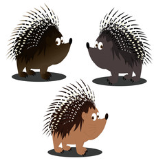Porcupine Character Grey and Brown - Cartoon Vector Image
